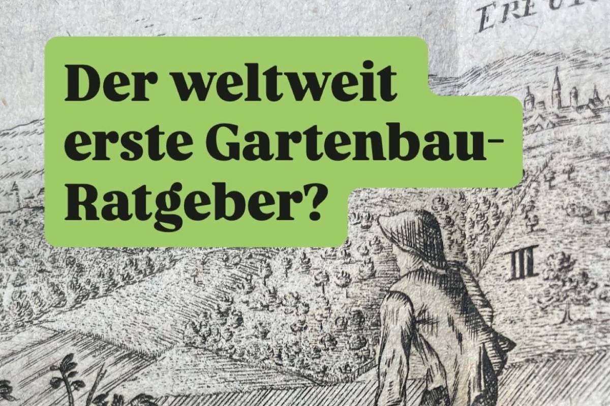 Exponat und Nachricht aus der Sammlung Cover